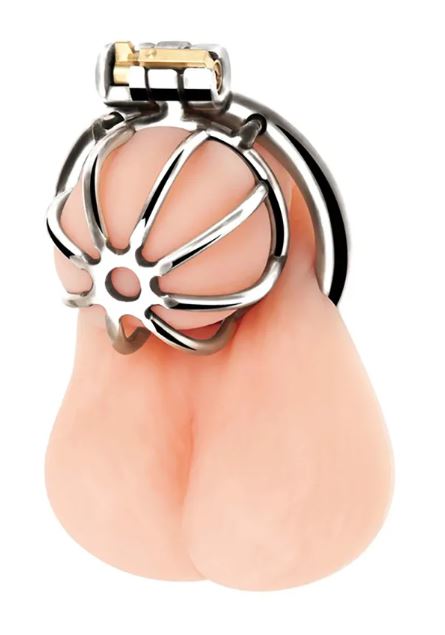 Little Cock Chastity Cage