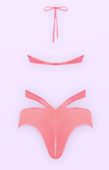 Forever Mesh Cupless & Crotchless Halter Teddy with Split Back