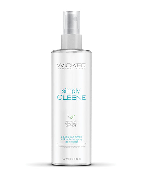 Wicked Simply Cleene 4 oz Toy Cleaner