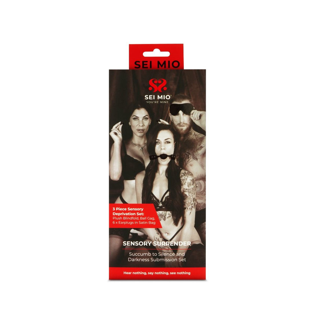 Sei Mio Sensory Surrender Blindfold Gag And Earplug Kit