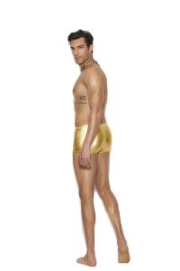 GOLD LAME BOXER BRIEF L/XL